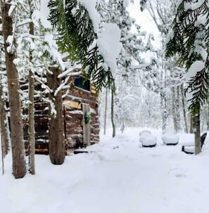 Une cabane recouverte de neige, avec une façade en bois, entourée d’arbres et de voitures garées.
