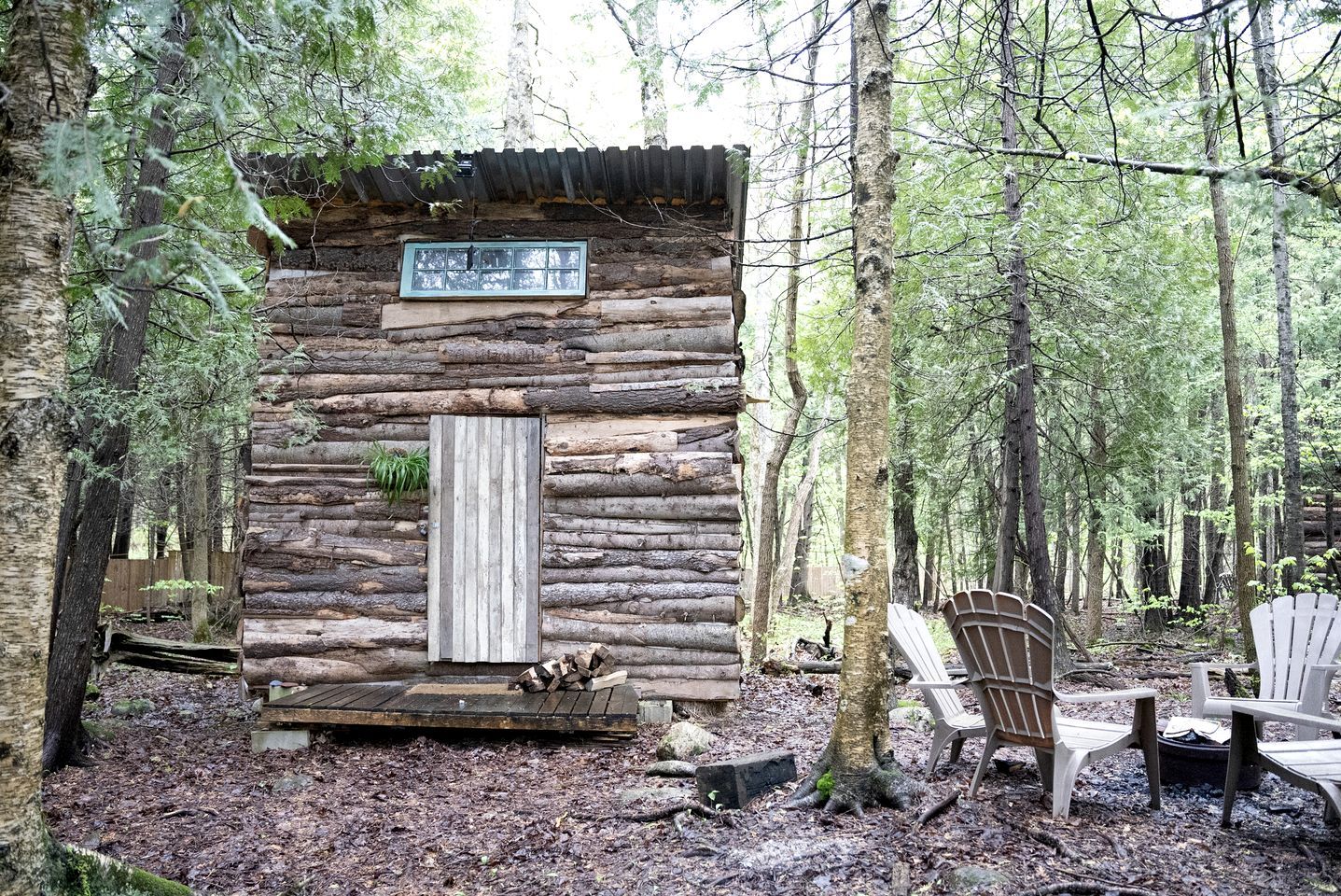 A log cabin with a wooden door and window, surrounded by trees.