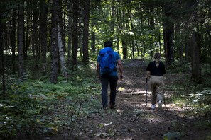 Two people hiking on a forest trail.