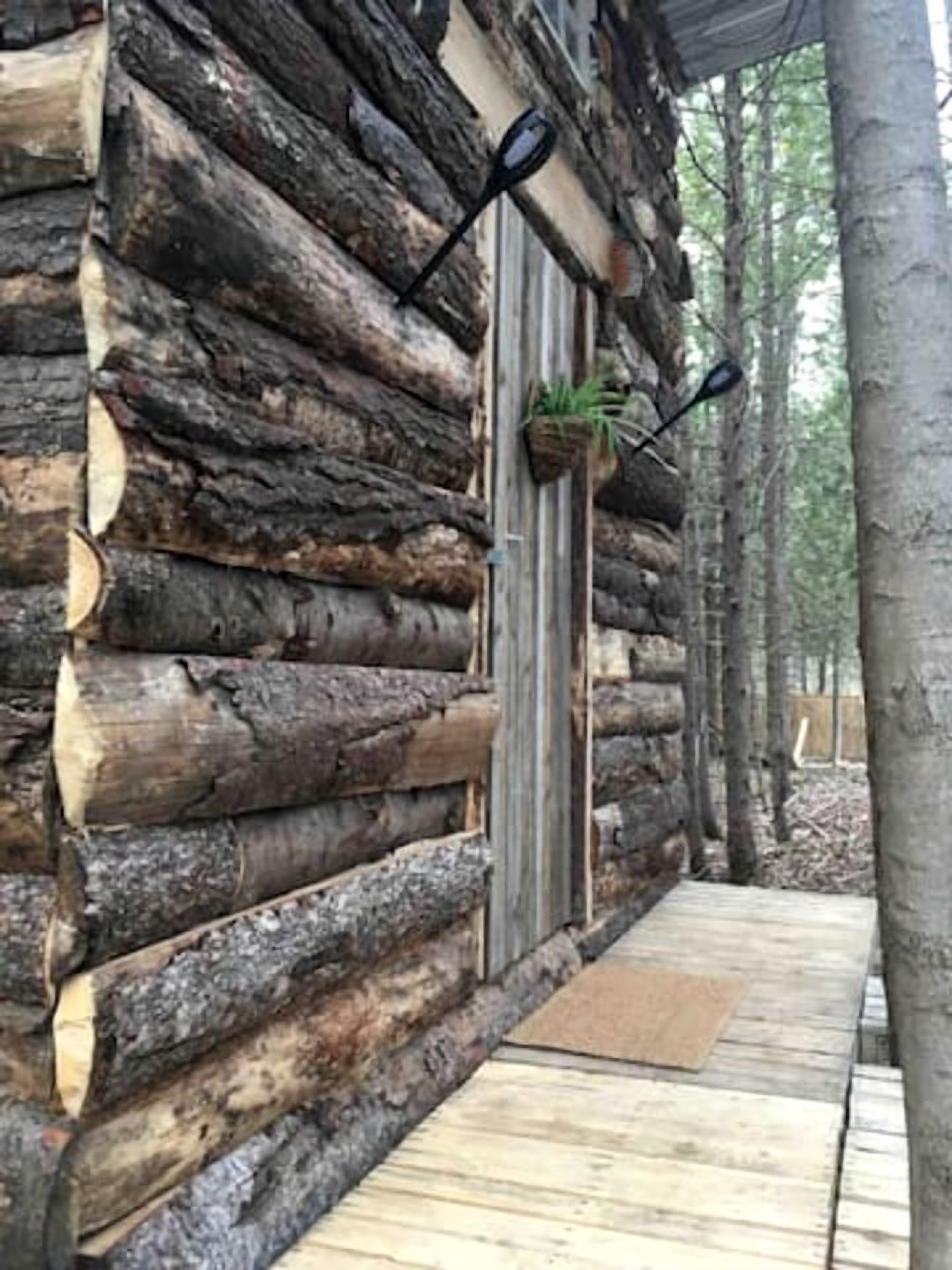 Una cabaña de troncos con puerta de madera, un pequeño porche y una planta en maceta.