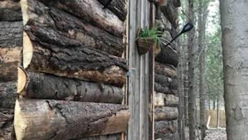 Una cabaña de troncos con puerta de madera, un pequeño porche y una planta en maceta.