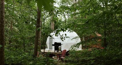 Fantastic Dome Nestled Amidst Trees and Barbecue Provided in Petawawa, Ontario