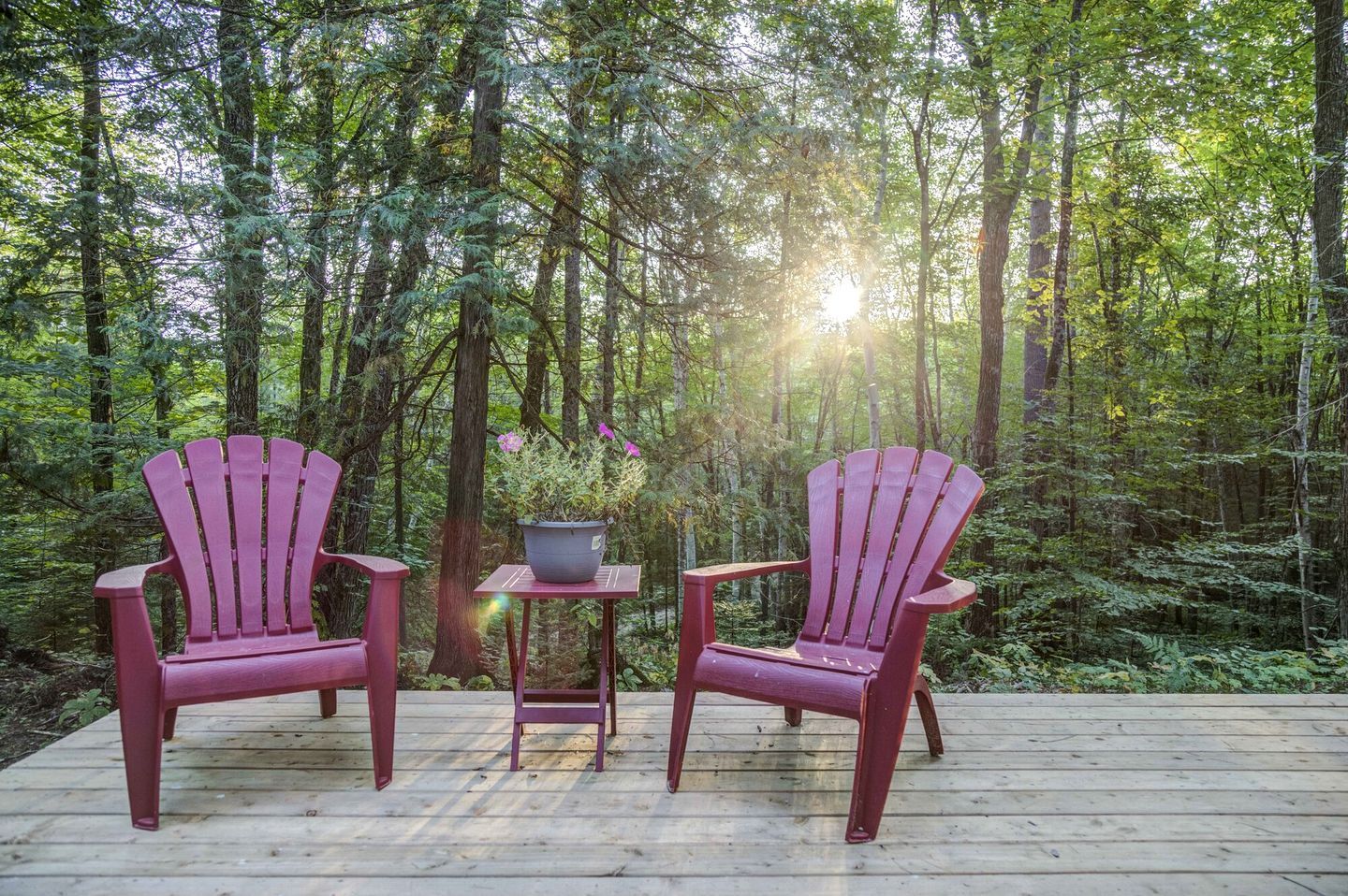 Two Adirondack chairs on a wooden deck with a potted plant between them.