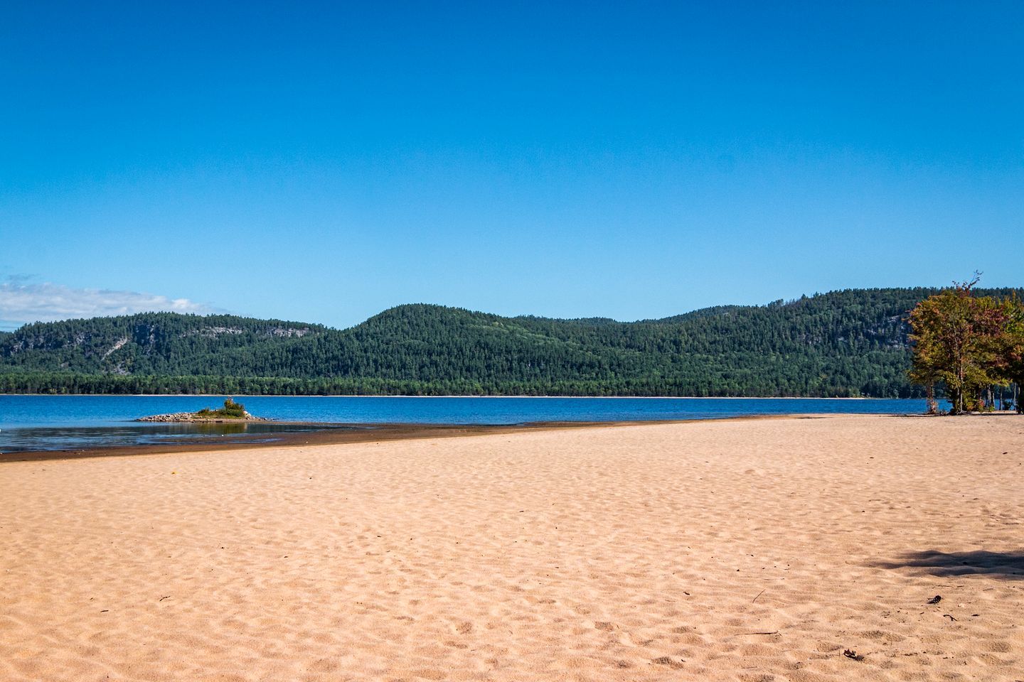 Une plage avec un ciel dégagé, un rivage sablonneux et une colline boisée en arrière-plan.