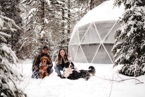 Un espacio exterior cubierto de nieve con una gran estructura en forma de cúpula, rodeado de árboles.