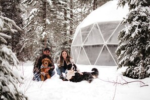A snow-covered outdoor area with a large dome structure, surrounded by trees.