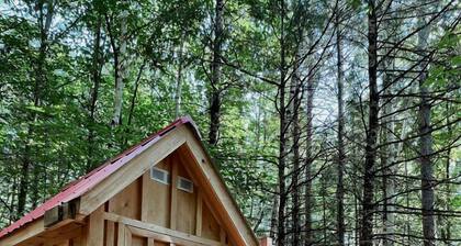 Incredible Dome Surrounded by Trees and Fantastic Vistas in Petawawa, Ontario