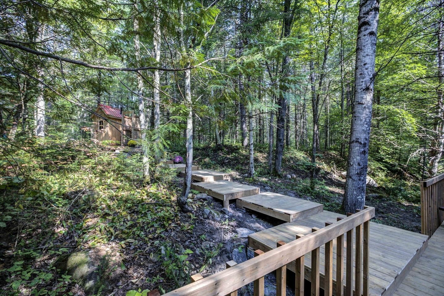 A wooden deck leading into a forested area with a small building in the background.