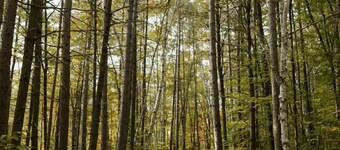 Incredible Dome Surrounded by Trees and Fantastic Vistas in Petawawa, Ontario