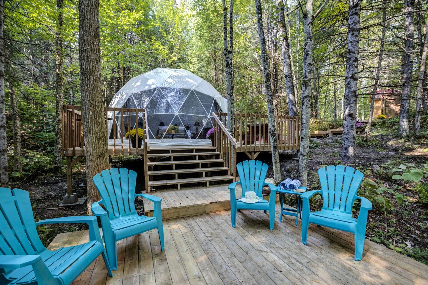 Une structure en forme de dôme au cœur d’une forêt, une terrasse en bois avec des chaises et un escalier en bois menant à une plateforme.