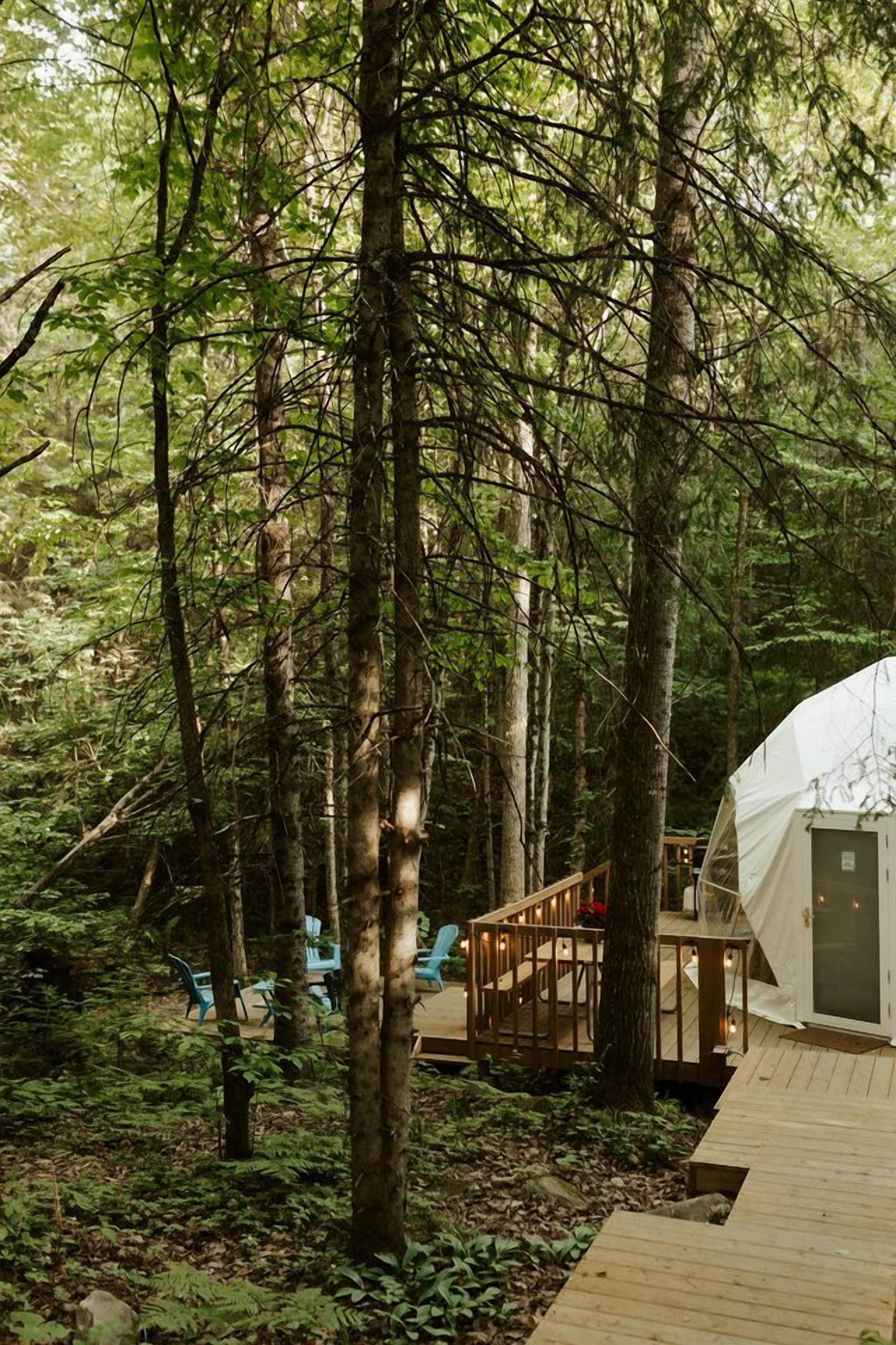 A forested area with a large dome tent, wooden deck, and chairs.