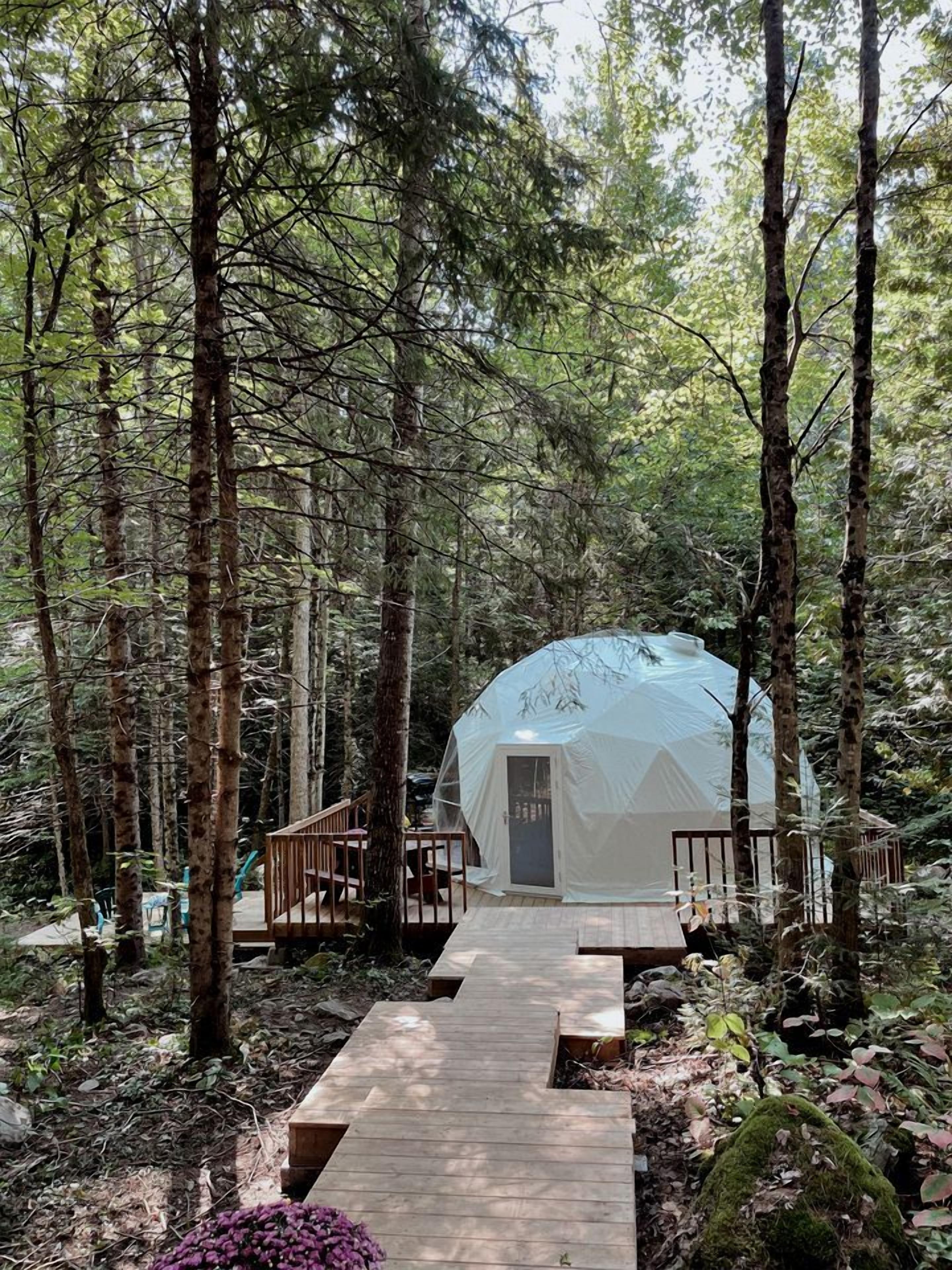 A dome-shaped structure in a forest with a wooden deck leading to it.