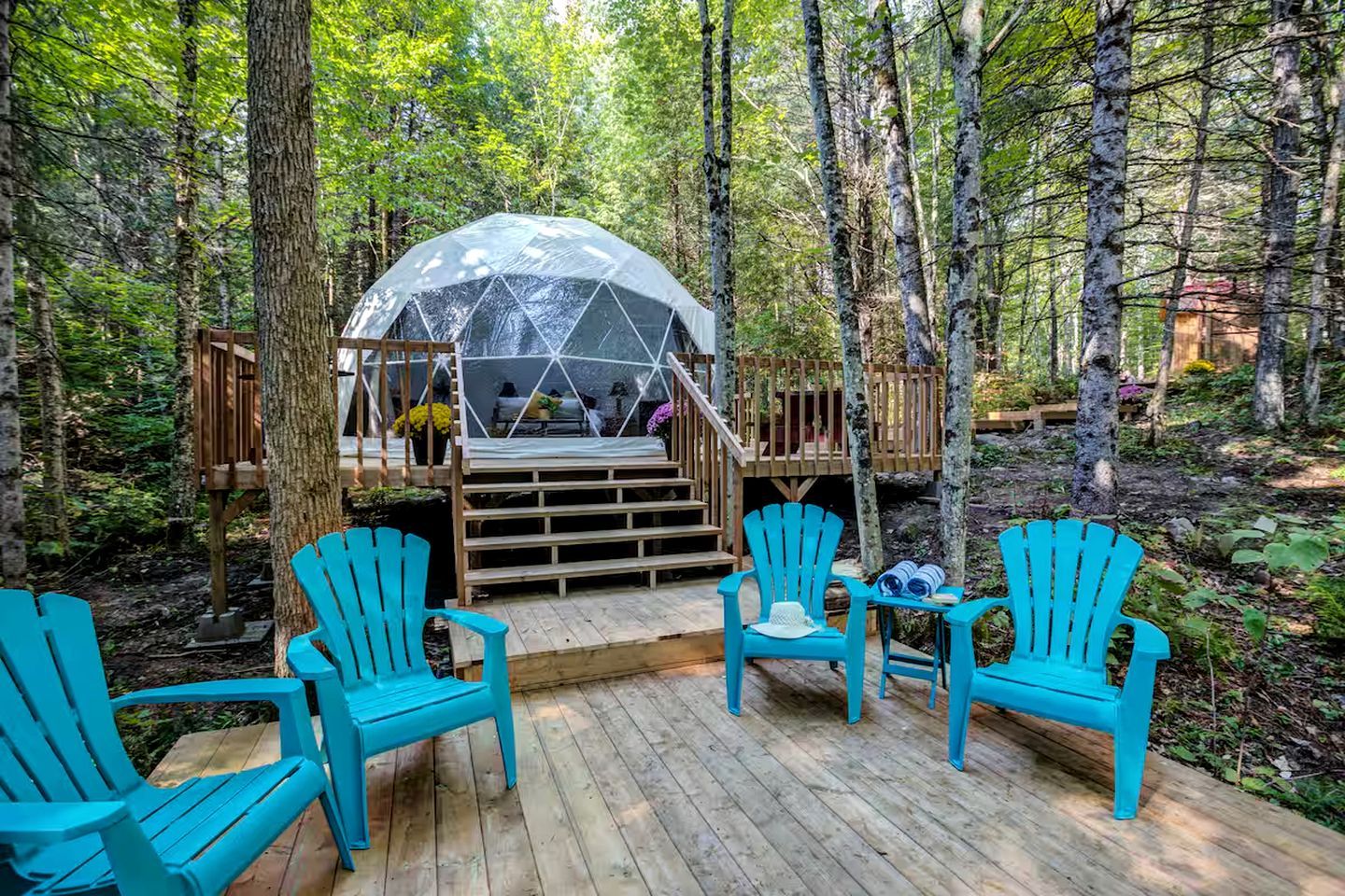 Une terrasse en bois agrémentée de chaises Adirondack turquoise, une structure en forme de dôme de verre et un escalier en bois menant à une plateforme offrant une vue sur la forêt.