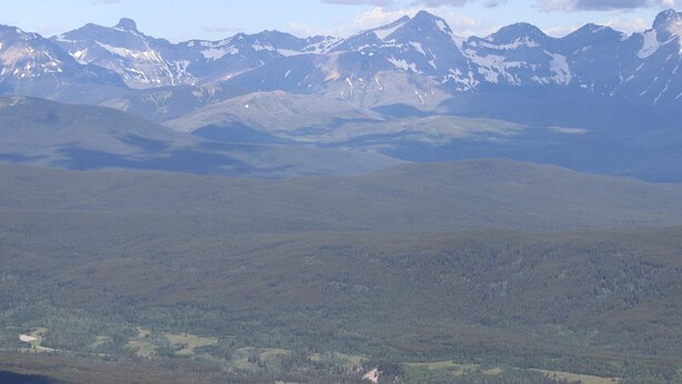 A mountainous landscape with a valley and forested area.