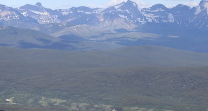 Amazing Forest Dome with Private Deck and Lofted Interior in Alberta