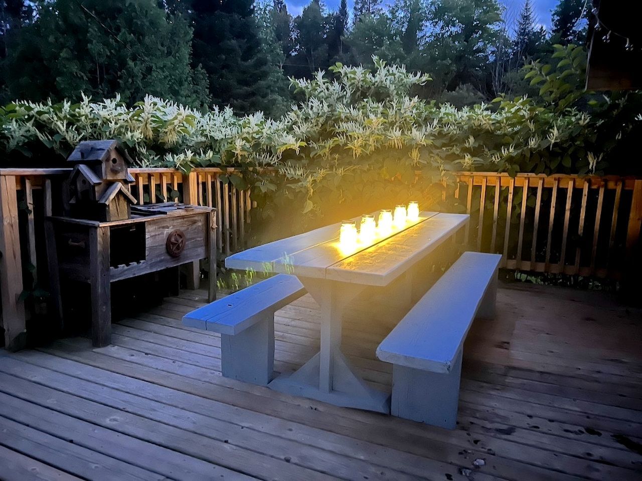 Une terrasse en bois avec une table et des bancs, entourée d’une clôture en bois et d’un feuillage dense.