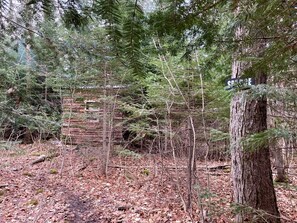 A forested area with a wooden structure partially visible in the background.