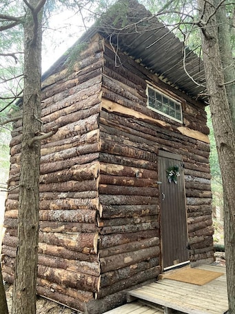 A rustic log cabin with a wooden door, a small window, and a porch.. Cute Wooden Cabin with Pond Views in Ontario