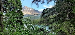 A forested area with a mountain in the background.