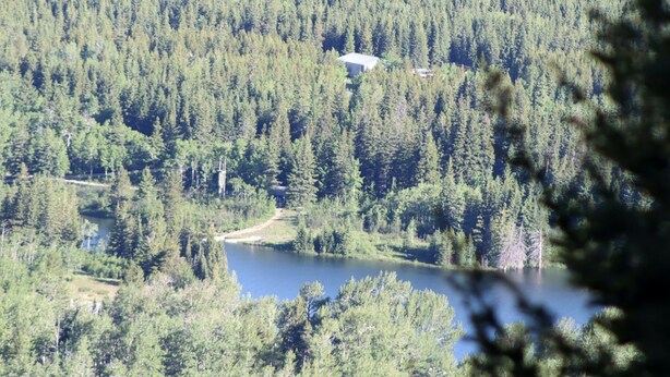 Zona boscosa con un lago y un edificio parcialmente oculto por árboles.