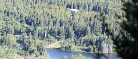 A forested area with a lake and a building partially obscured by trees.