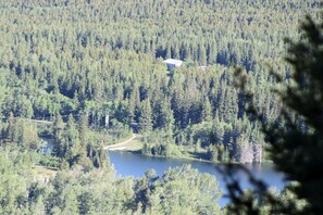 A forested area with a lake and a building partially obscured by trees.