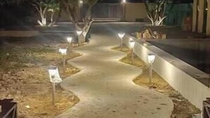 Een verlicht pad 's nachts, met verlichte palen en bomen, dat naar een gebouw leidt.