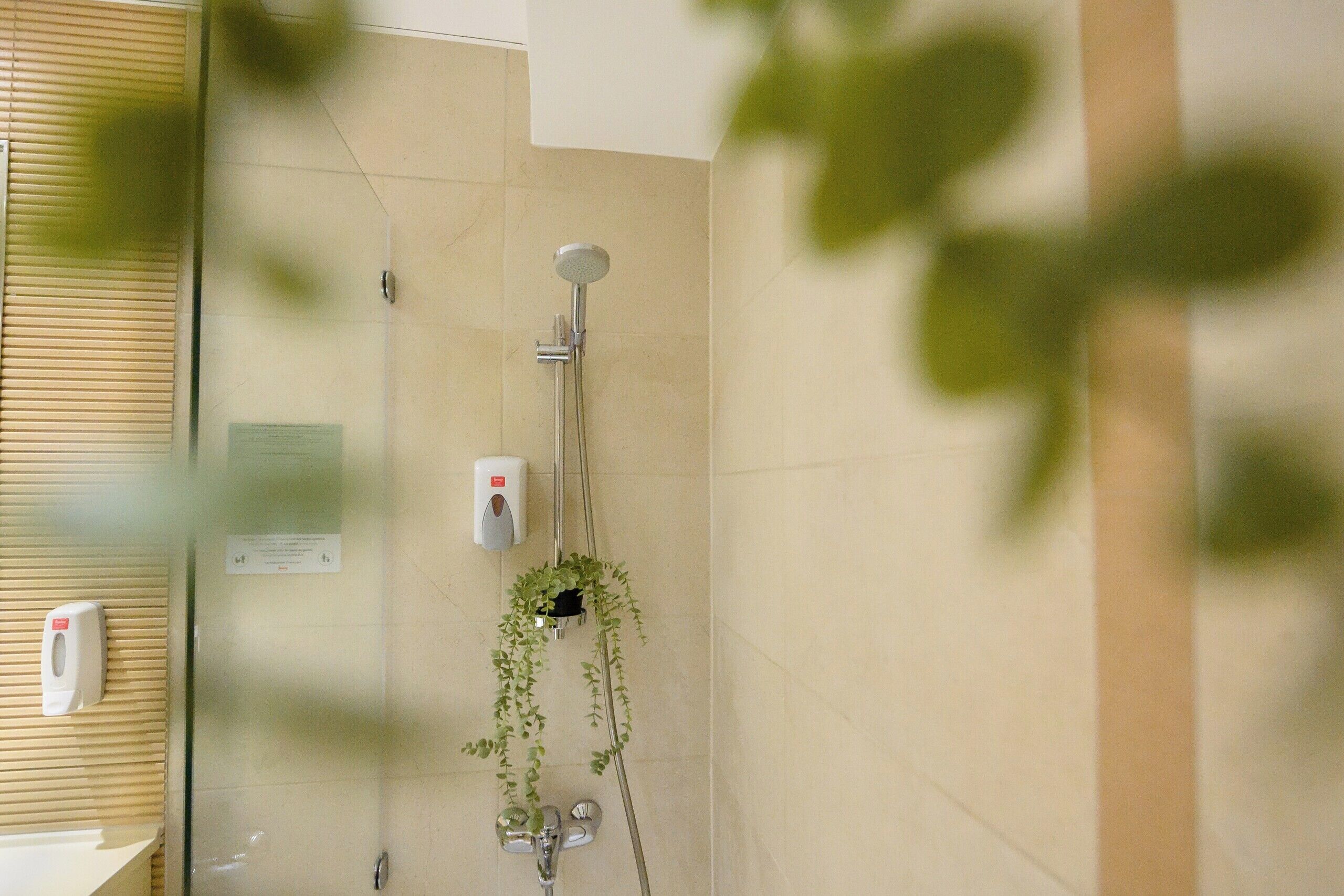 A bathroom with a shower, a hand soap dispenser, and a potted plant.