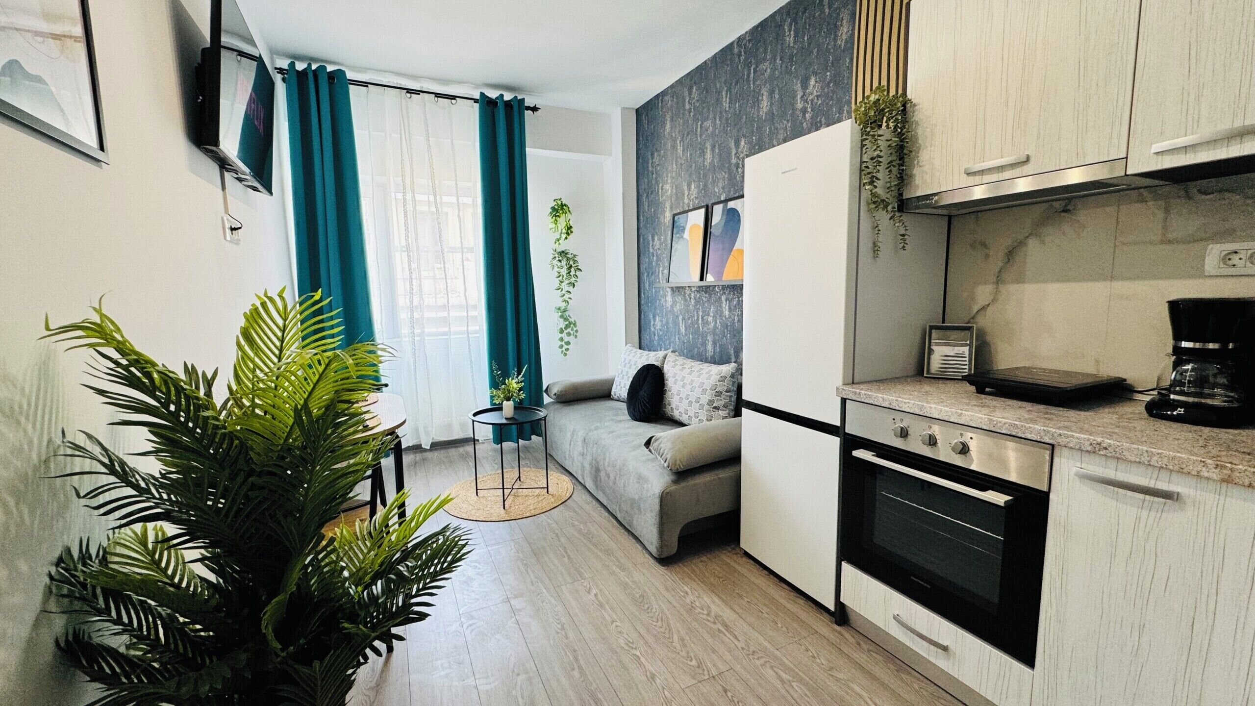A compact kitchen with a stove, oven, and coffee maker. A grey sofa and a small table with a plant are in the living area.