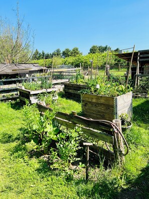 Boendeområde