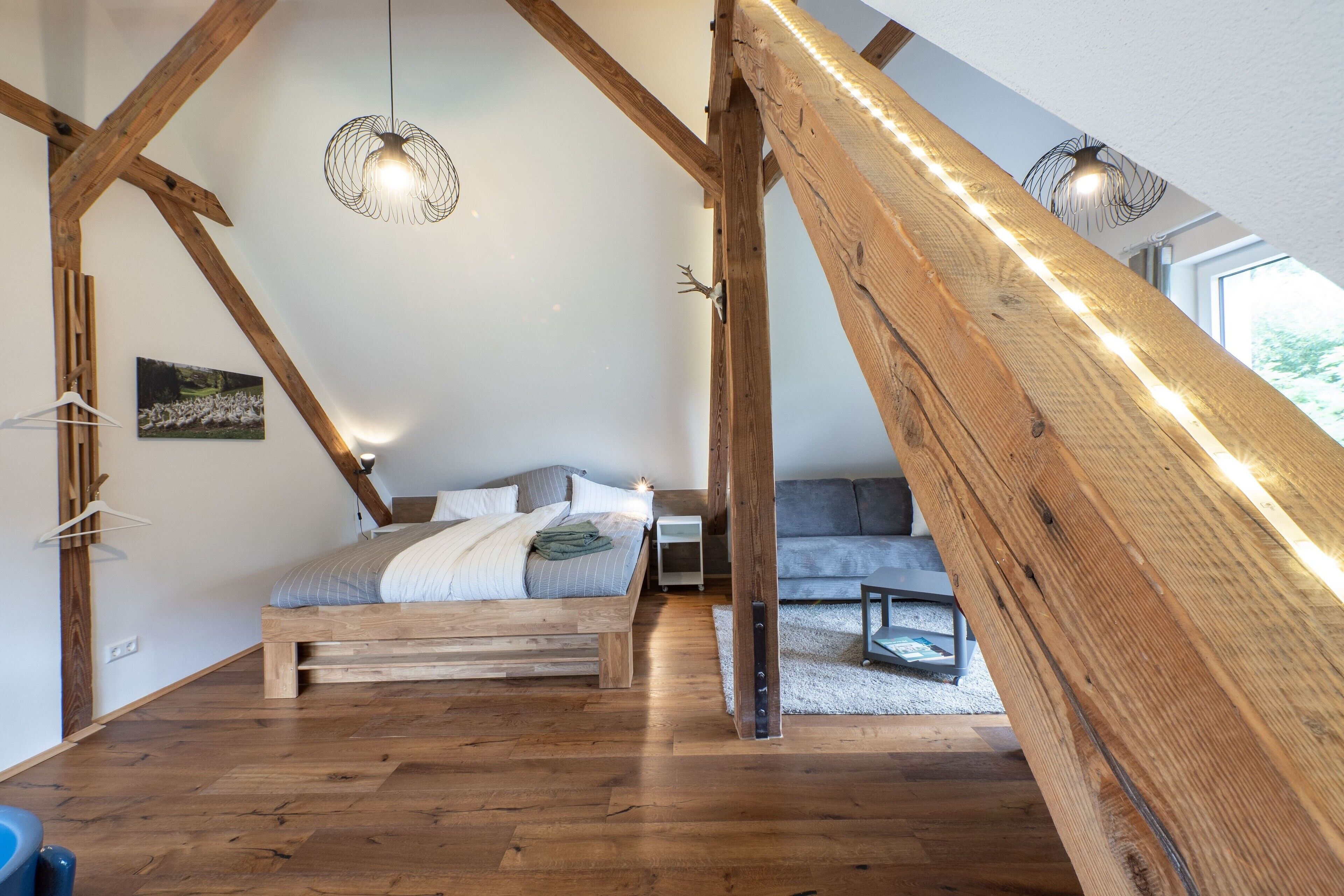 WiFi, bed sheets