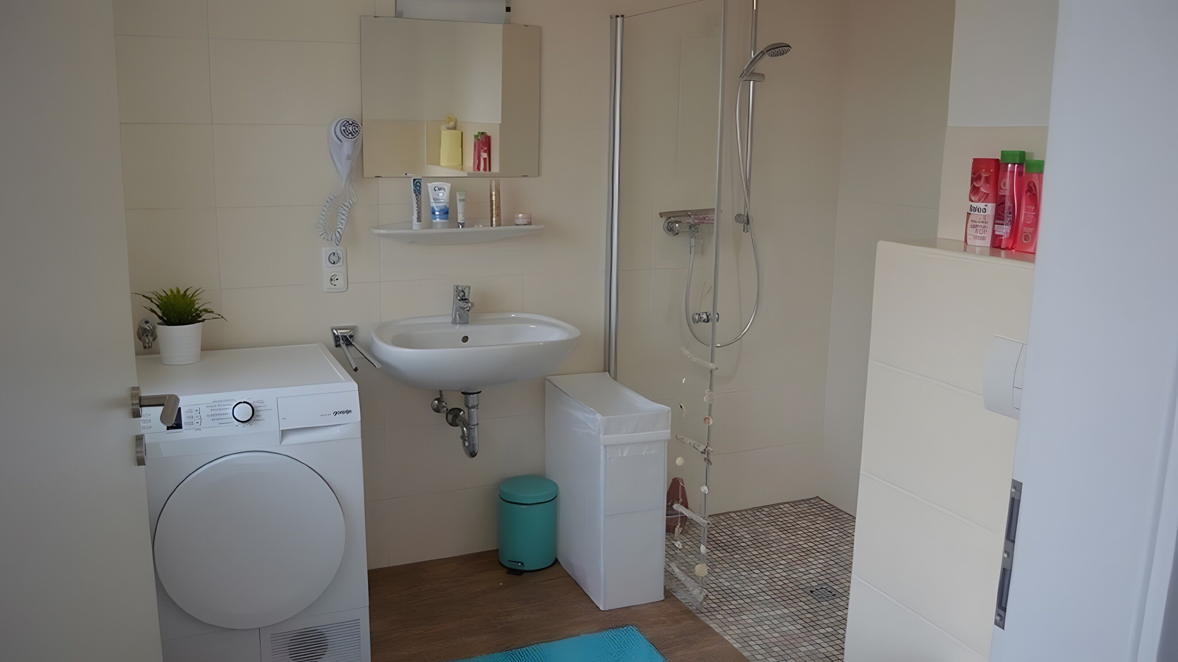 Dusche, Haartrockner, Handtücher