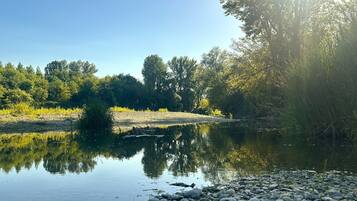 A calm river with a rocky shore and dense trees in the background.
