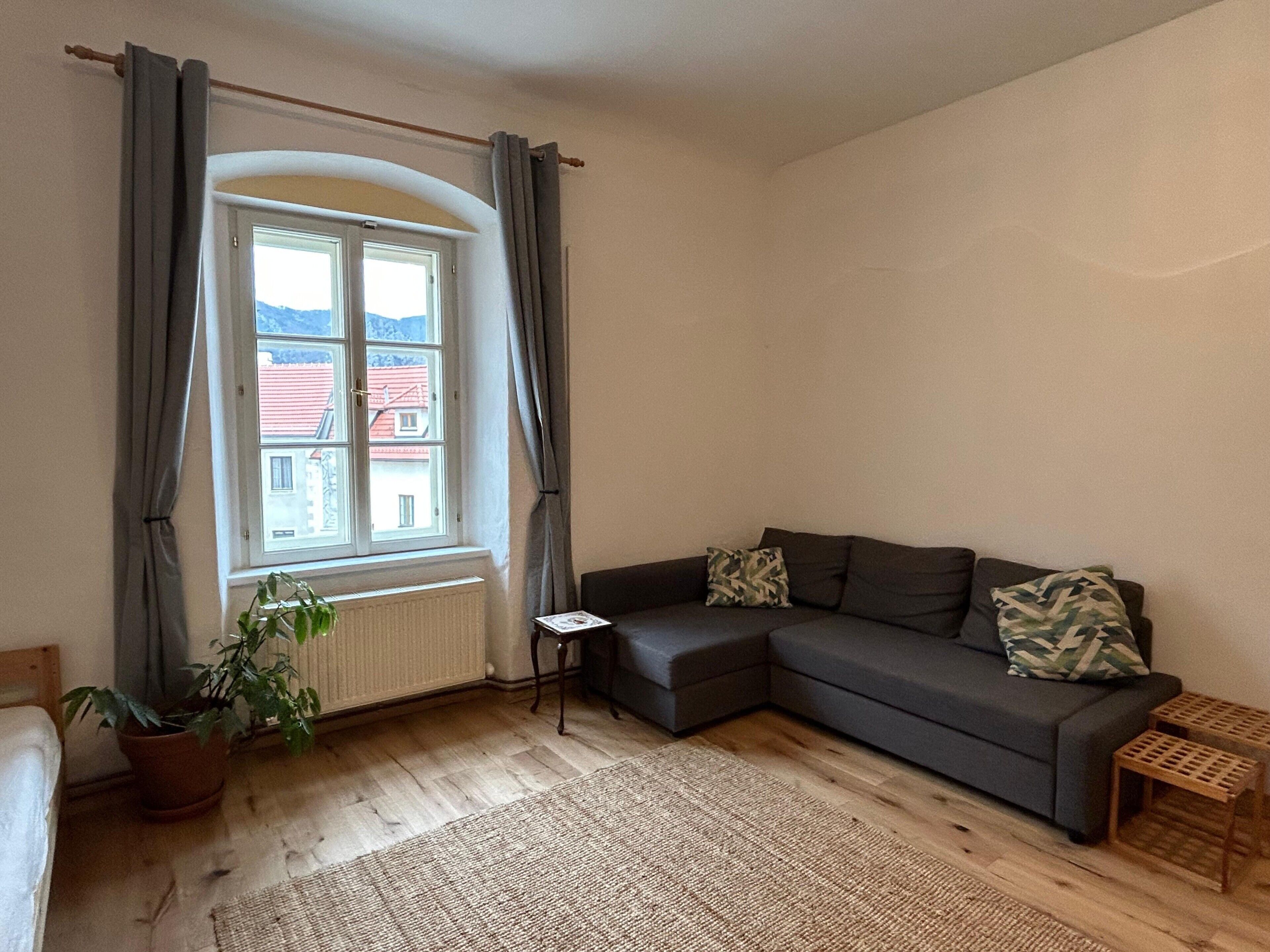 Een woonkamer met een grijze bank, een klein bijzettafeltje, een potplant en uitzicht op gebouwen door een raam met gordijnen.