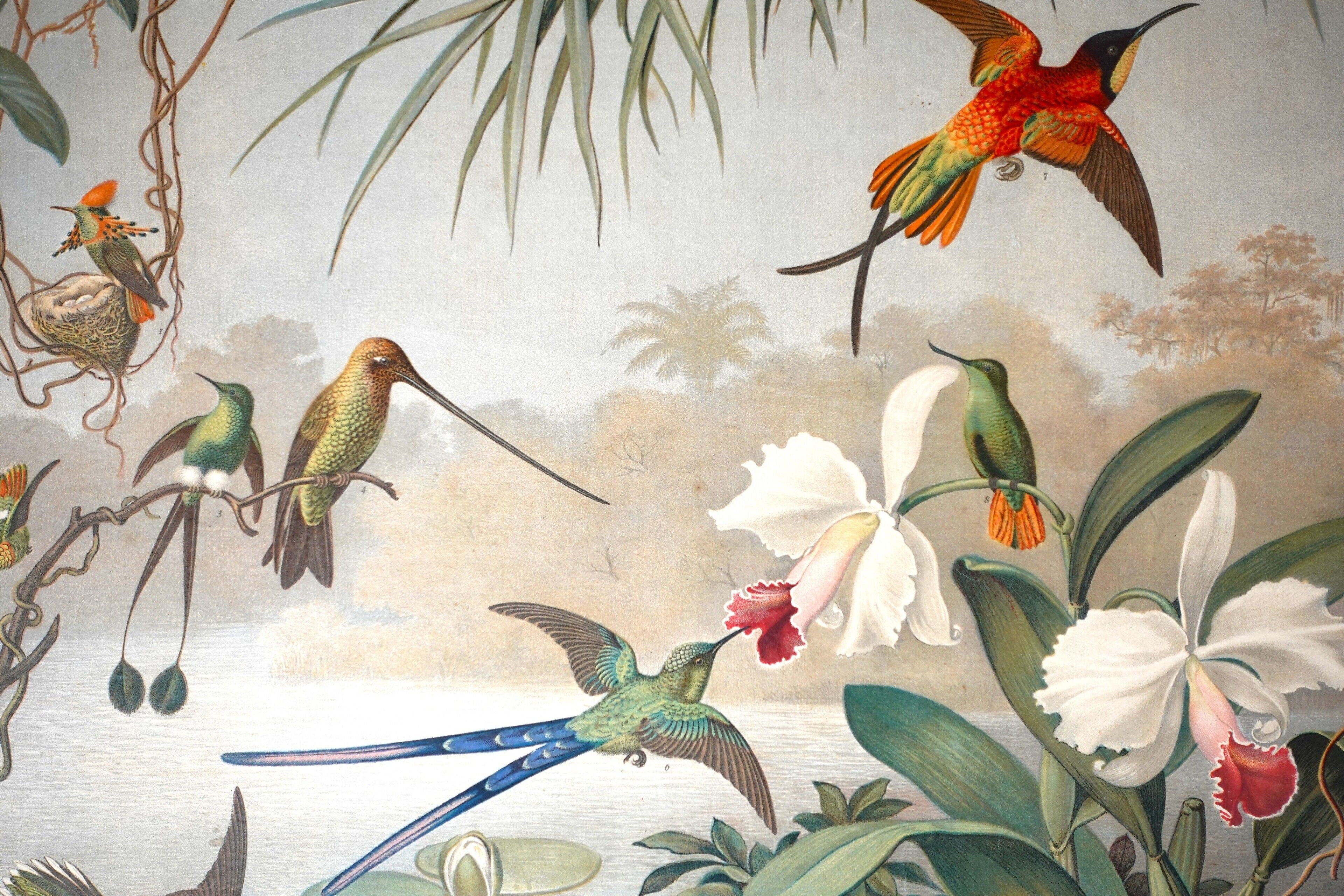 A mural with various birds and flowers.