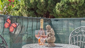 Une table ronde en métal, avec une bouteille et un verre, entourée de chaises en métal, le tout placé devant un fond en treillis métallique vert.