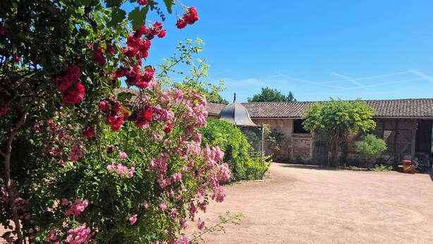 Ein rustikales Gebäude mit einer Schotterauffahrt, umgeben von üppiger Vegetation und blühenden rosa Blumen.