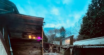 Forest Cabin