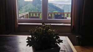 Una ventana con vistas a un paisaje boscoso.