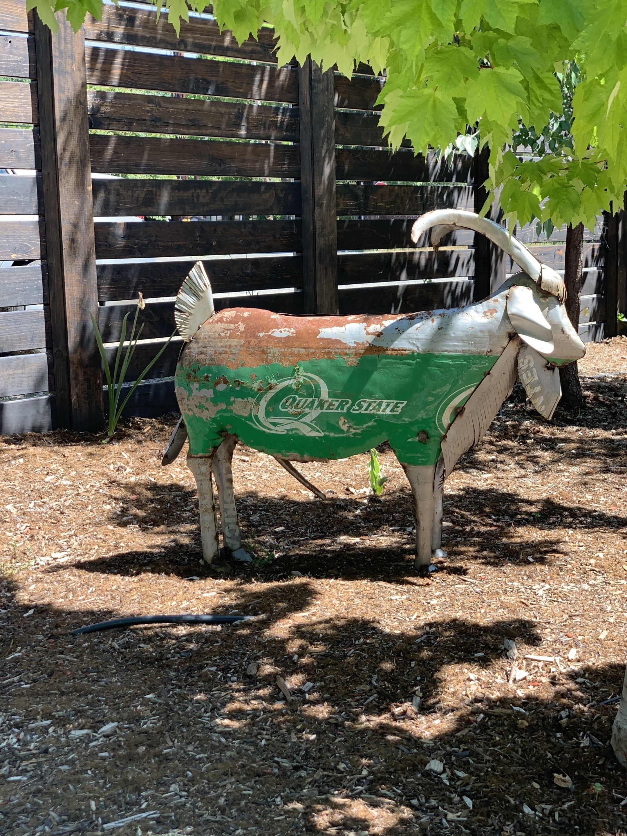 A rustic metal sculpture of a cow with a green and white paint job, standing on a ground covered with wood chips, with a wooden fence and foliage in the background.
