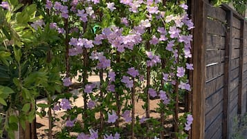 Superior-Suite, mit Bad, Gartenblick (Couryard Suite #1) | Terrasse/Patio
