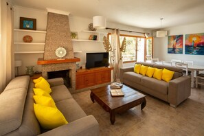TV, fireplace
