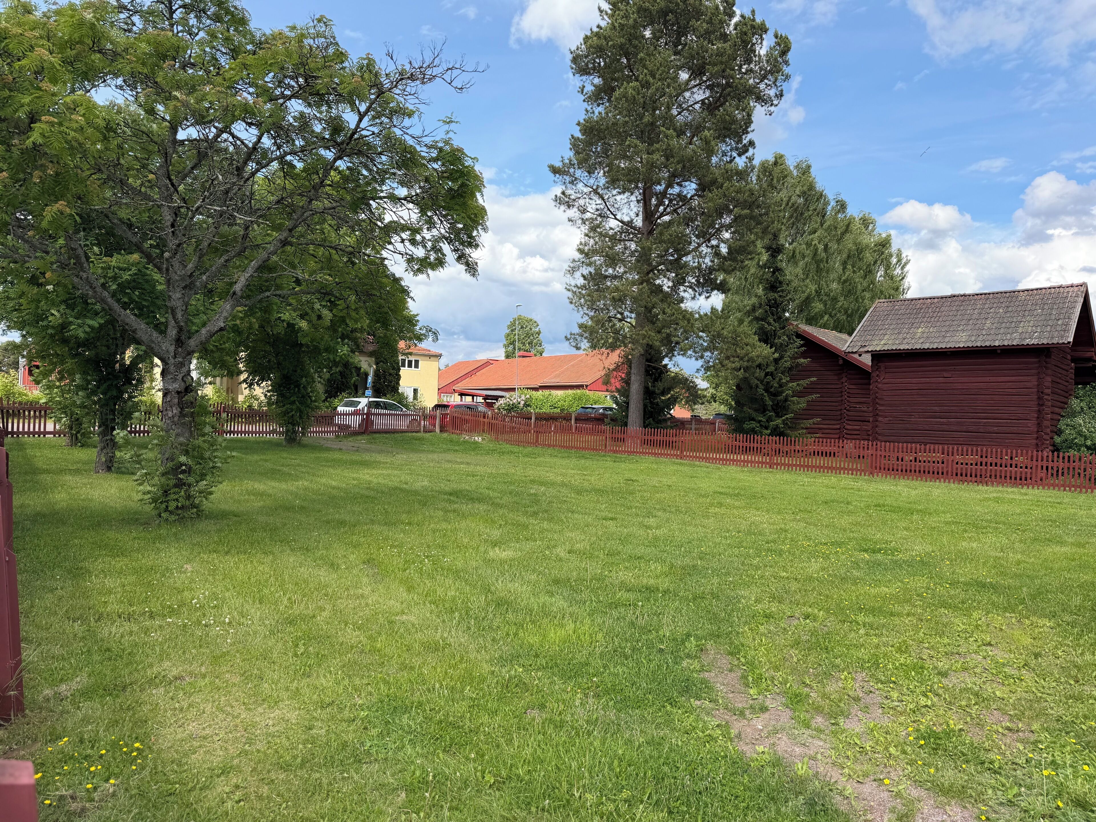 A grassy yard with trees and a wooden fence.