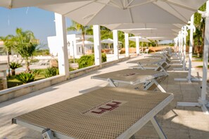 A row of sun loungers under white umbrellas, with a view of palm trees and buildings in the background.