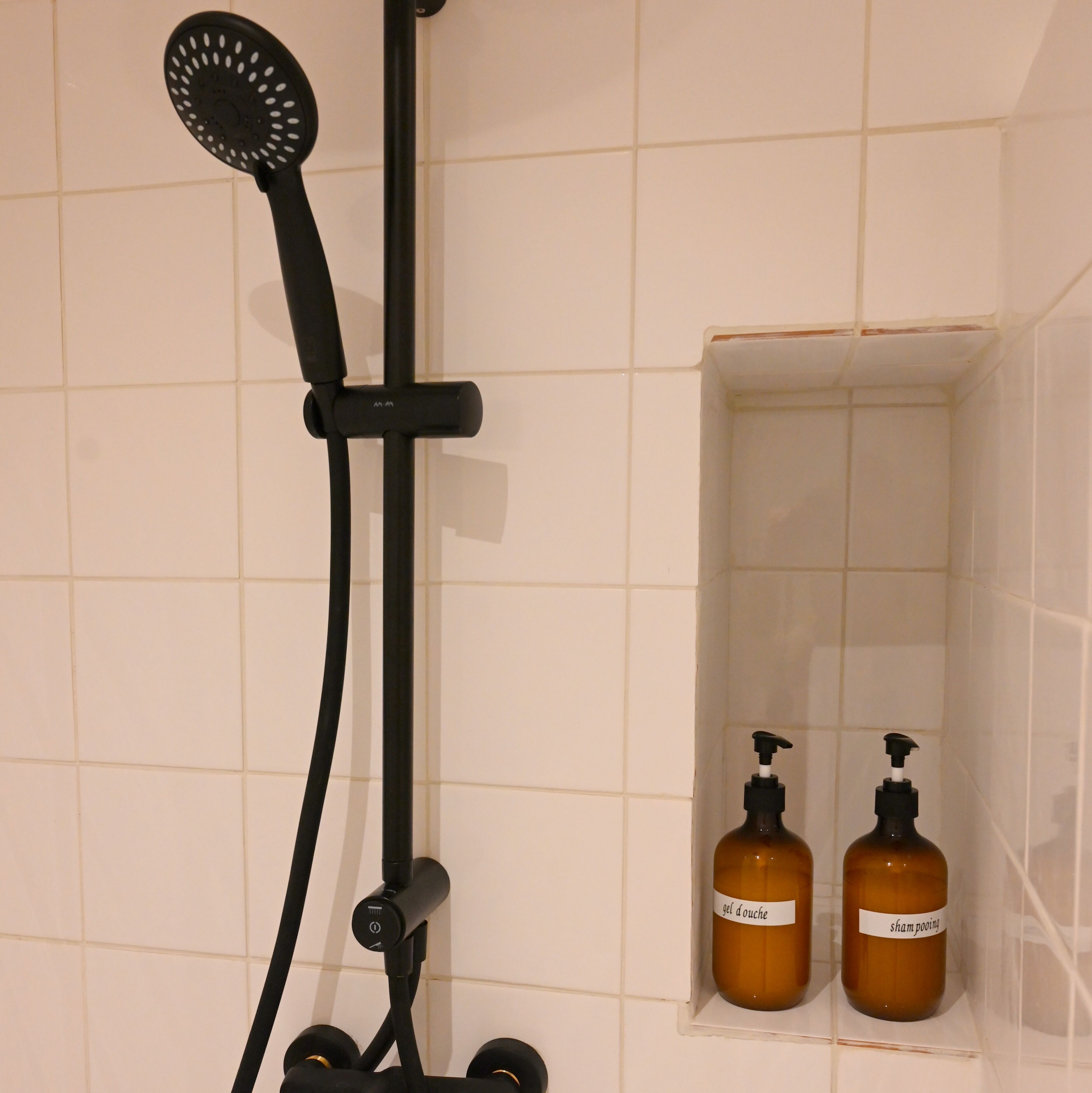 A shower with a handheld brush and a wall-mounted head. There are two bottles of shampoo in a shelf.