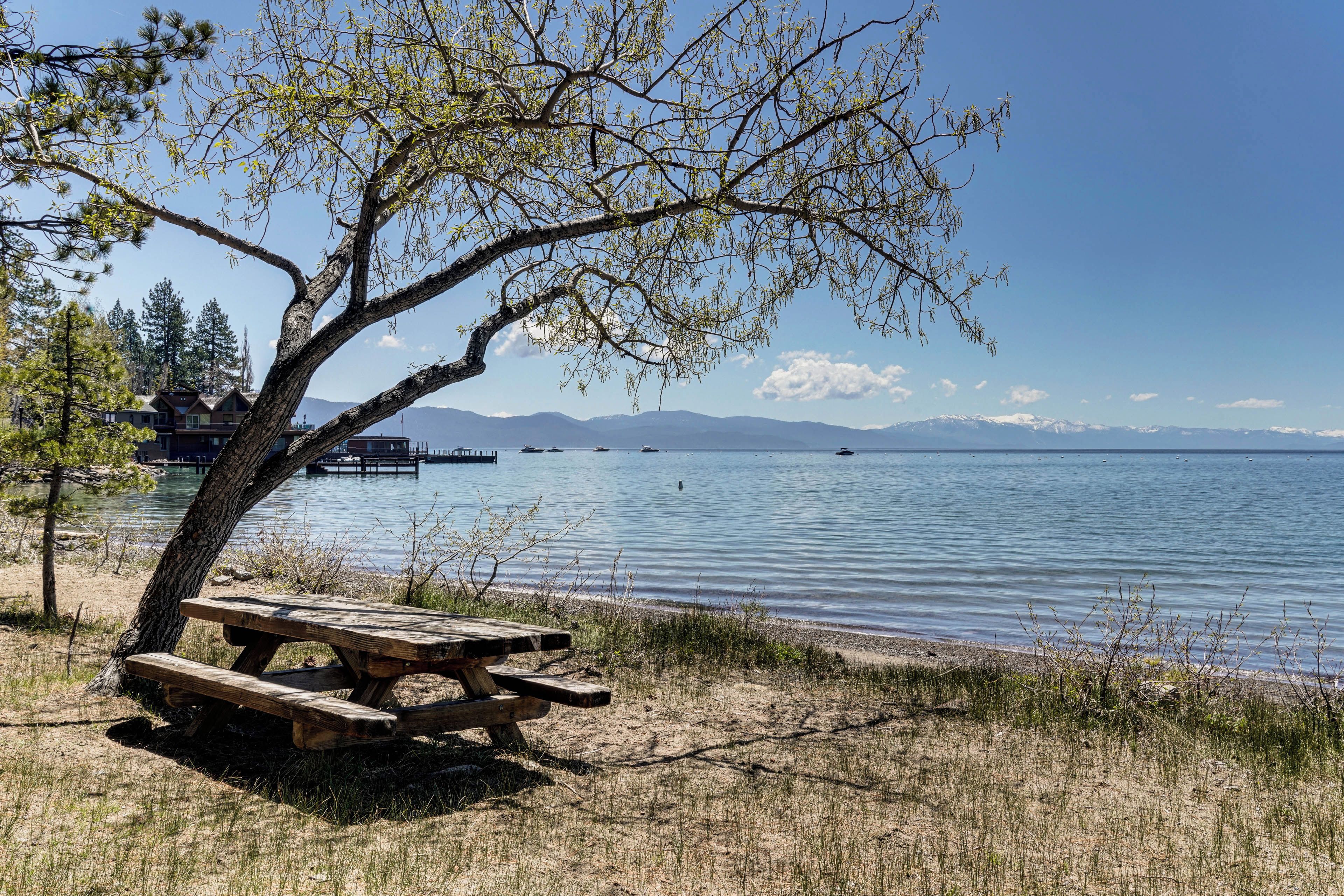 A lakeside view with a picnic table, trees, and distant mountains.