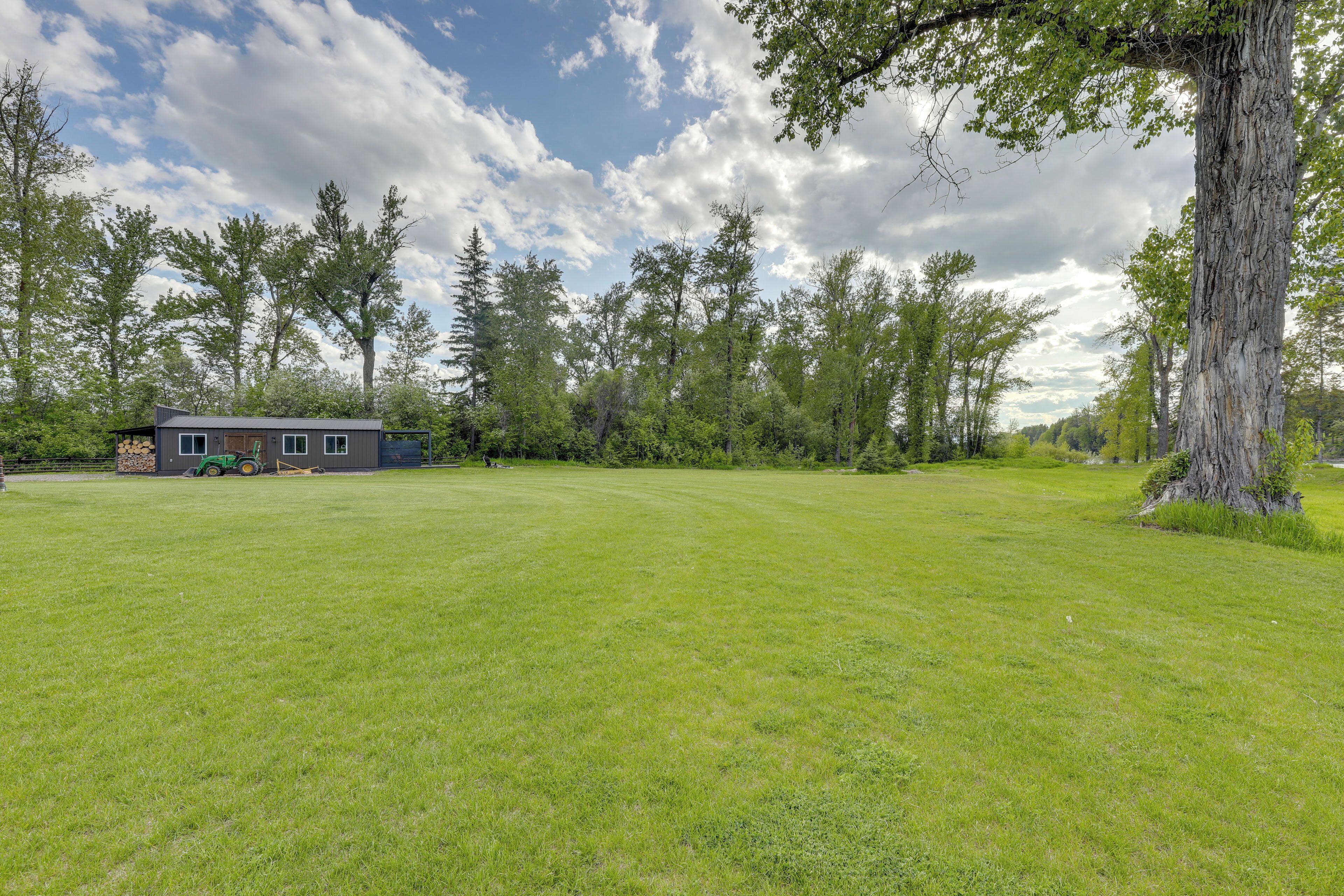 A grassy field with a small building and a large tree.