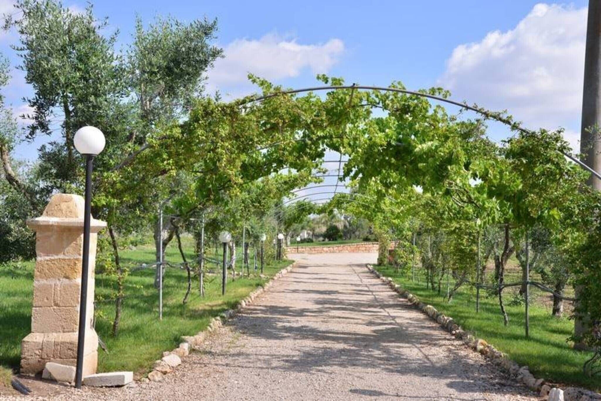 A pathway leading through a vineyard with a stone pillar and lamp post on the left.
