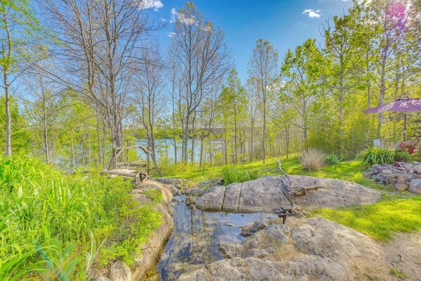 A natural landscape with a stream, rocks, and trees. - Walk to Beaches & Trails: Waterfront Maine Escape! (Lubec)