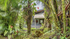 Un giardino tropicale con un edificio rustico, un piccolo stagno e vegetazione lussureggiante.